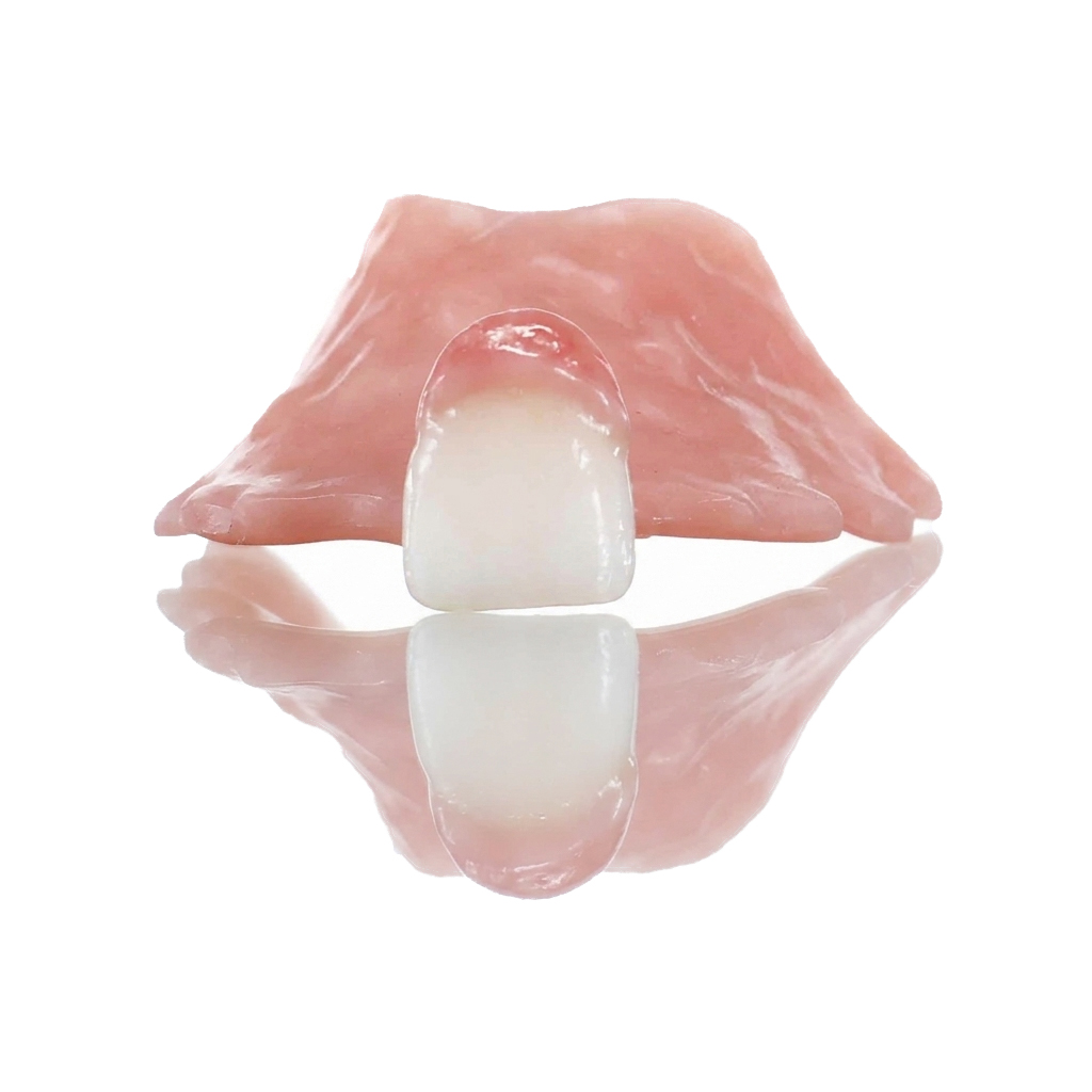 DentKits flipper tooth
