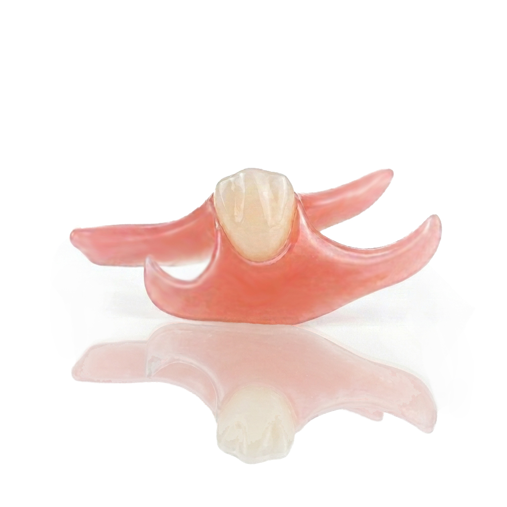 DentKits Nesbit partial